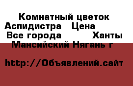 Комнатный цветок Аспидистра › Цена ­ 150 - Все города  »    . Ханты-Мансийский,Нягань г.